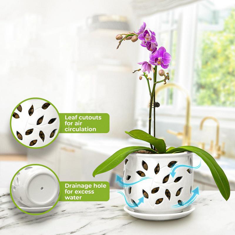 WTEMPO Classic White Ceramic Orchid Planter Pot Irregular Shape Polished Finish Drainage Hole Indoor & Outdoor Bonsai Pot for Home Decorative Pot