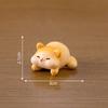 Creative Resin Fat Cat Figurine Blind Box Cute Desk And Car Decoration