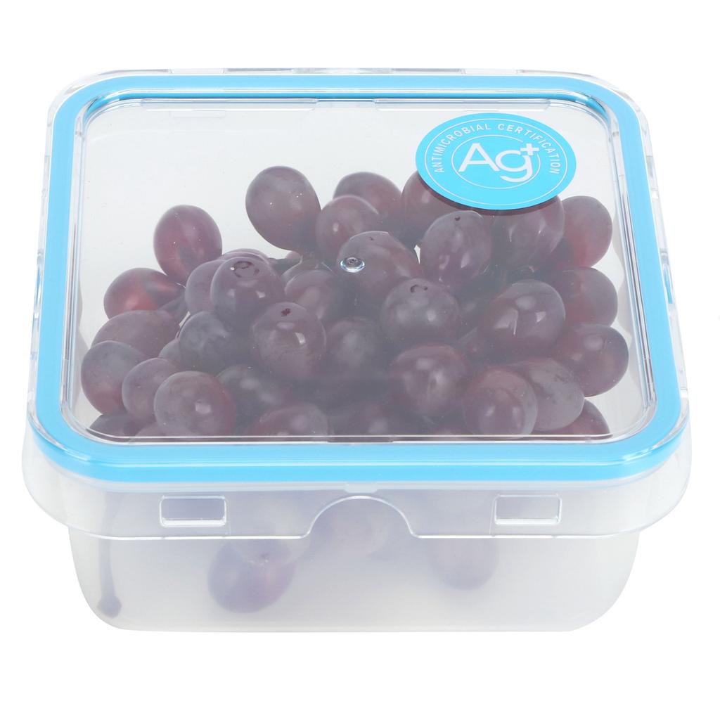 Kitchen Transparent Storage Box Food Storage Organizer Preservation Box for Refrigerator1050ml