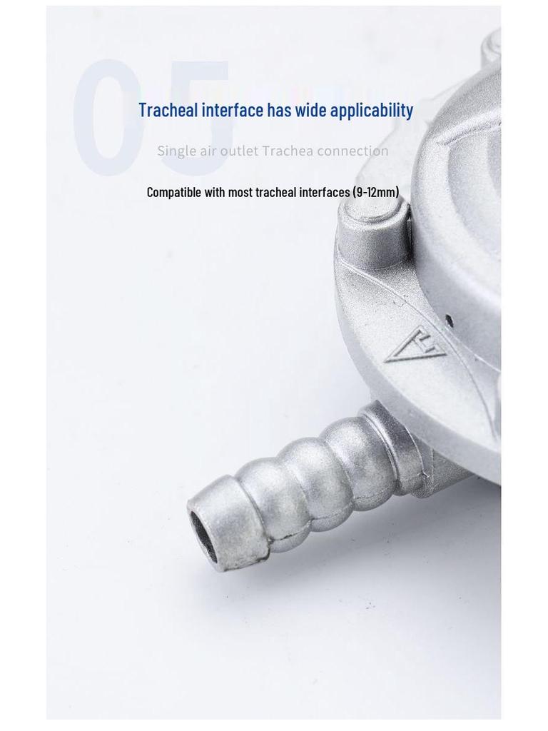 Household Gas Cylinder Safety Valve - Automatic Shut-Off & Pressure Reducing Valve