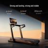 Merach XJ-XT5B3 Smart Color Screen Folding Treadmill CN plug (adapter included)