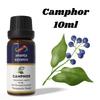 Ananta Camphor Essential Oil 10 Ml | Fresh Aromatic Oil | Diffuser & Home Fragrance Use
