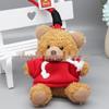Teddy Bear Pendant Plush Toy with Colorful Clothes Keychain - Customizable Souvenir
