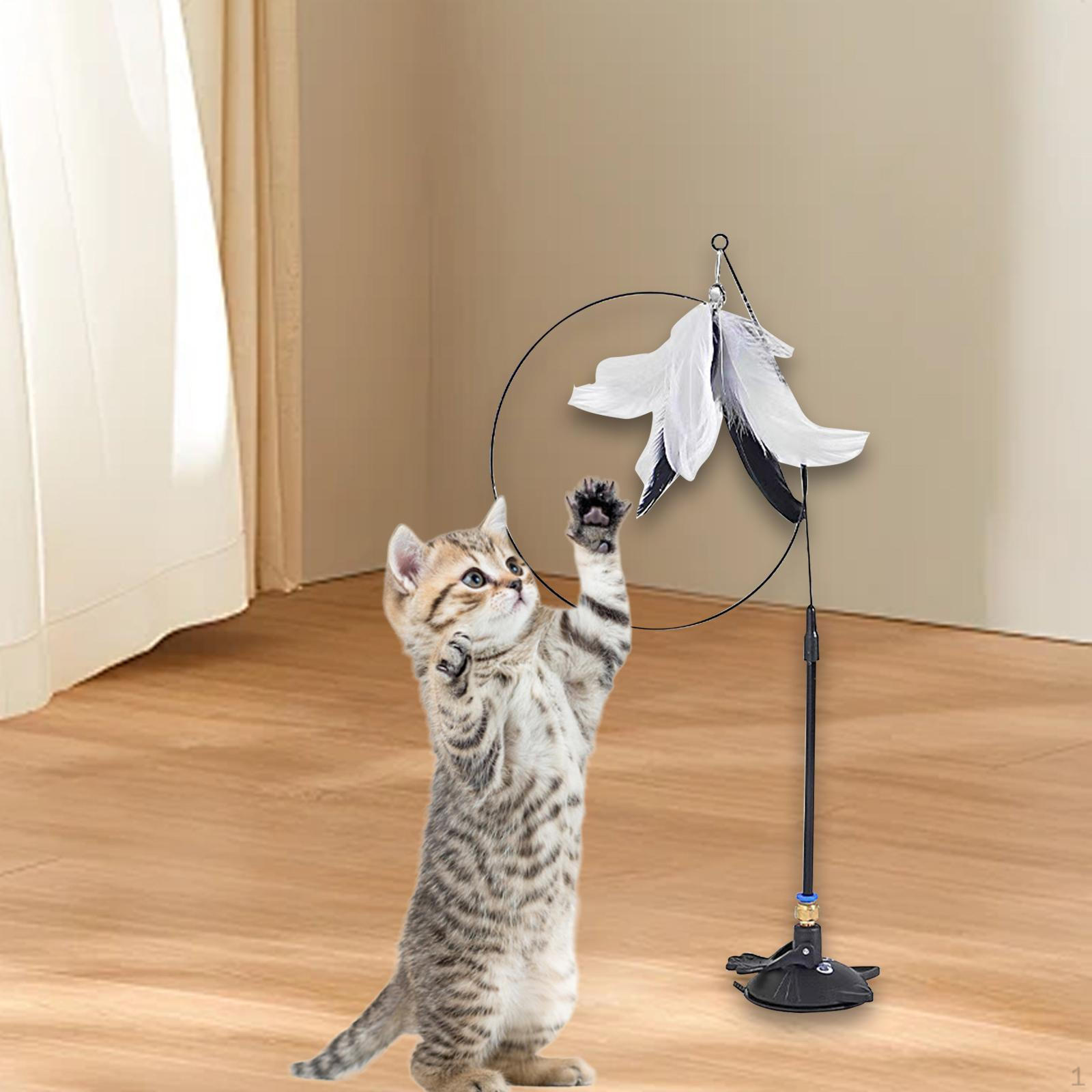 

Игрушки из кошачьих перьев, интерактивная съемная присоска, бытовая игрушка-тизер для домашних животных чёрный