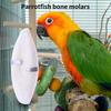 Cuttle Bone Natural Bird Cuttlebone Bird Sharp Beaks Cuttlefish Bone Cuddle Bone Toy Chew Toys For Cockatiel Macaw
