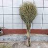 Traditional Large Bamboo & Wood Handle Broom for Outdoor Sweeping and Road Cleaning