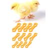 12Pcs Plastic Bird Leg Correctors For Poultry Support And Posture Alignment