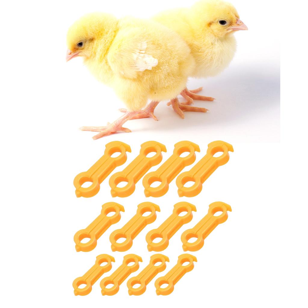 12Pcs Plastic Bird Leg Correctors For Poultry Support And Posture Alignment