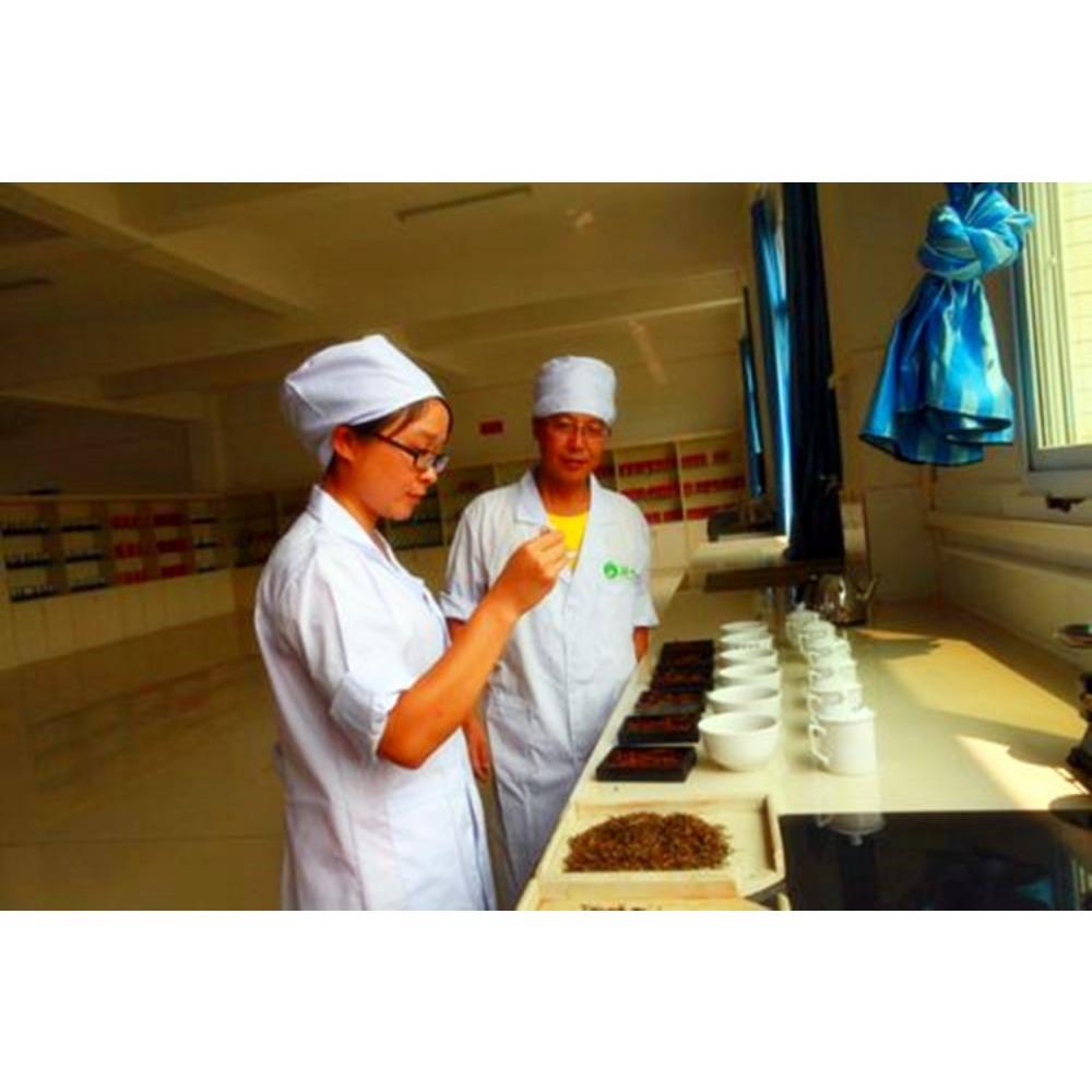 250g Organic Chinese Jasmine Green Tea Loose Leaf Premium Grade Floral Scented