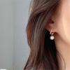 925 Sterling Silver Plated 14K Gold Simulated Pearl Zircon Earrings for Women Korean Luxury Jewelry Accessories