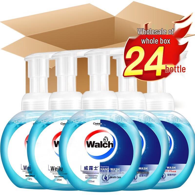 Walch Healthy Care Antibacterial Foaming Hand Soap