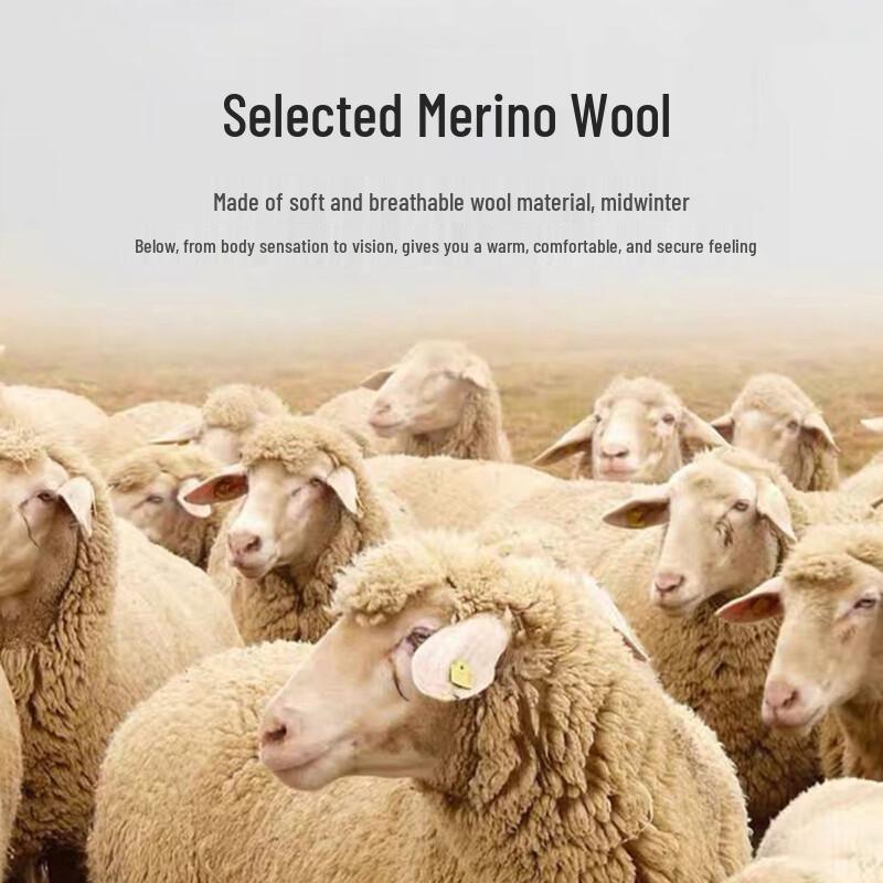 CARLI Men's Wool-Blend Oversized Knit Polo