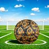 1pc Lion Zodiac Symbolism Theme Soccer Ball Football, Size 5, Lightweight PVC, Durable Outdoor Training Soccer Ball, Gift m61449