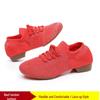 Flyknit Mesh Soft Sole Jazz & Latin Dance Shoes for Women