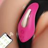 APP Control Clitoris Vibrator for Women Clitoral Stimulator Female Wearable Vibrating Panties Massager Adult Sex Toy for Women
