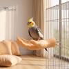 Parrot Tension Relief Toy Hand-Shaped Perch, Realistic Hand Stand with Screw Fastener, Bird Natural Perch Cage for Budgie Cockatiels, Desensitization