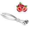 Cherry Seed Remover Pitter Aluminum Alloy Olive Core Remover Tool Kitchen Utensils
