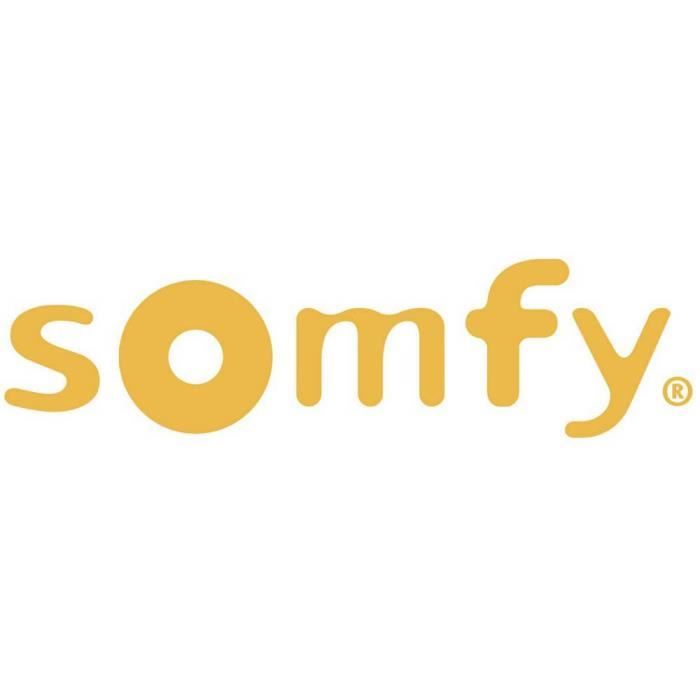 Somfy 1811634 1 canal Télécommande sans fil 868.95 MHz
