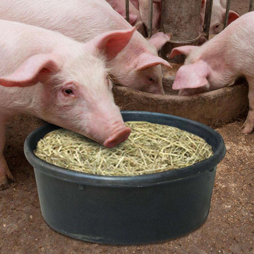 Feeding Pans 4L Plastic Horse Feeder Dog Bowl Pig Feeder Goat Chicken Manure Bath Container Large Utility Feed Bucket Feed Pan
