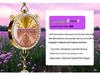 Hanging Car Air Freshener Pendant - Essential Oil Aromatherapy Deodorizer with Long-lasting Light Fragrance for Car Interior Decoration