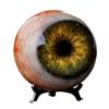 6cm Realistic Eyeball Resin Ornament with Base Creepy Eye Ball Decoration