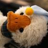 Adorable Duck Plush Toy