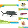 Marine Animal Model Set With Pvc Material Realistic Fish Decor For Aquarium Enthusiasts
