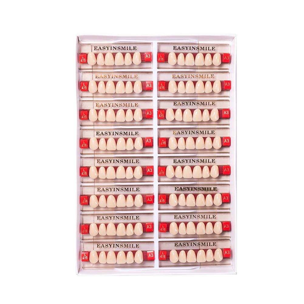 16/12 Sätze/Karton Zahnprothese Zähne Oberkiefer Frontzähne Unterkiefer Seitenzähne Dentier Synthetisches Polymerzähne Zahnmedizinische Ausbildungsmodell