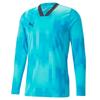Puma Mens Teamtarget Long-Sleeved Goalkeeper Jersey