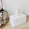 Plastic Paper Holder Waterproof Tissue Case Premium Tissue Container  Living Room