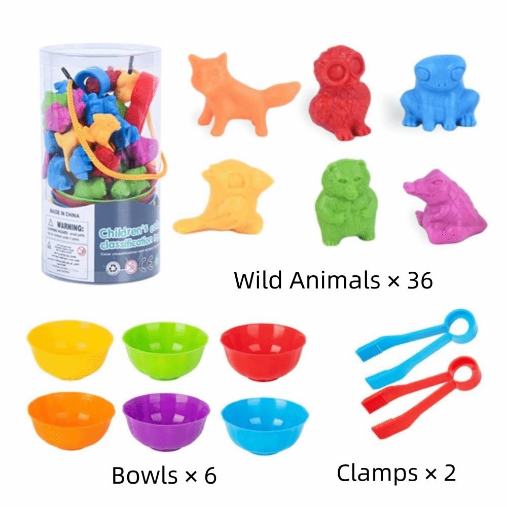 Multiple Colors Rainbow Counting Toy Bear & Dinosaur Shapes Classification Toy  Family Play