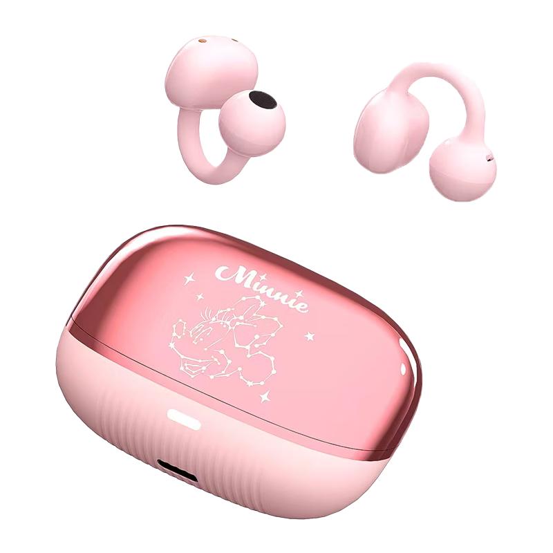 Disney Character Wireless Bluetooth Earphones