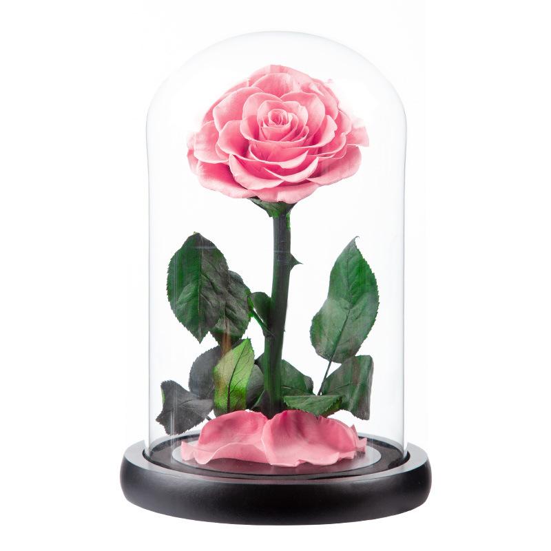 Eternal Flower Glass Cover Little Prince Rose Valentine's Day Gift Premium Finished Gift Box
