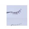 denivyse - False Eyelashes (Various Designs)