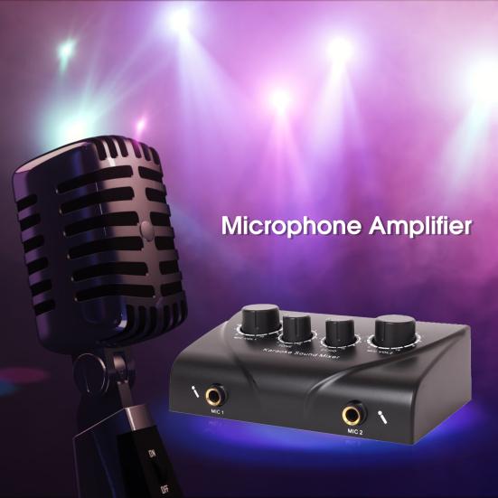 Microphone Amplifier Professional Dual Mic Input Mini Household Computer Phone Karaoke Echo Mixer