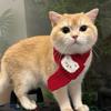 Pet Wool Knitted Scarf Cartoon Panda Dress Up Neck Warm and Comfortable Antifreeze Supplies