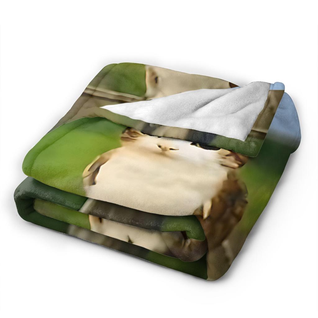 My Spirit Animal Funny meowl Meme Blanket Super Warm cat owl Meme brainrot Throw Blanket Winter Travel Couch Bed Bedspread