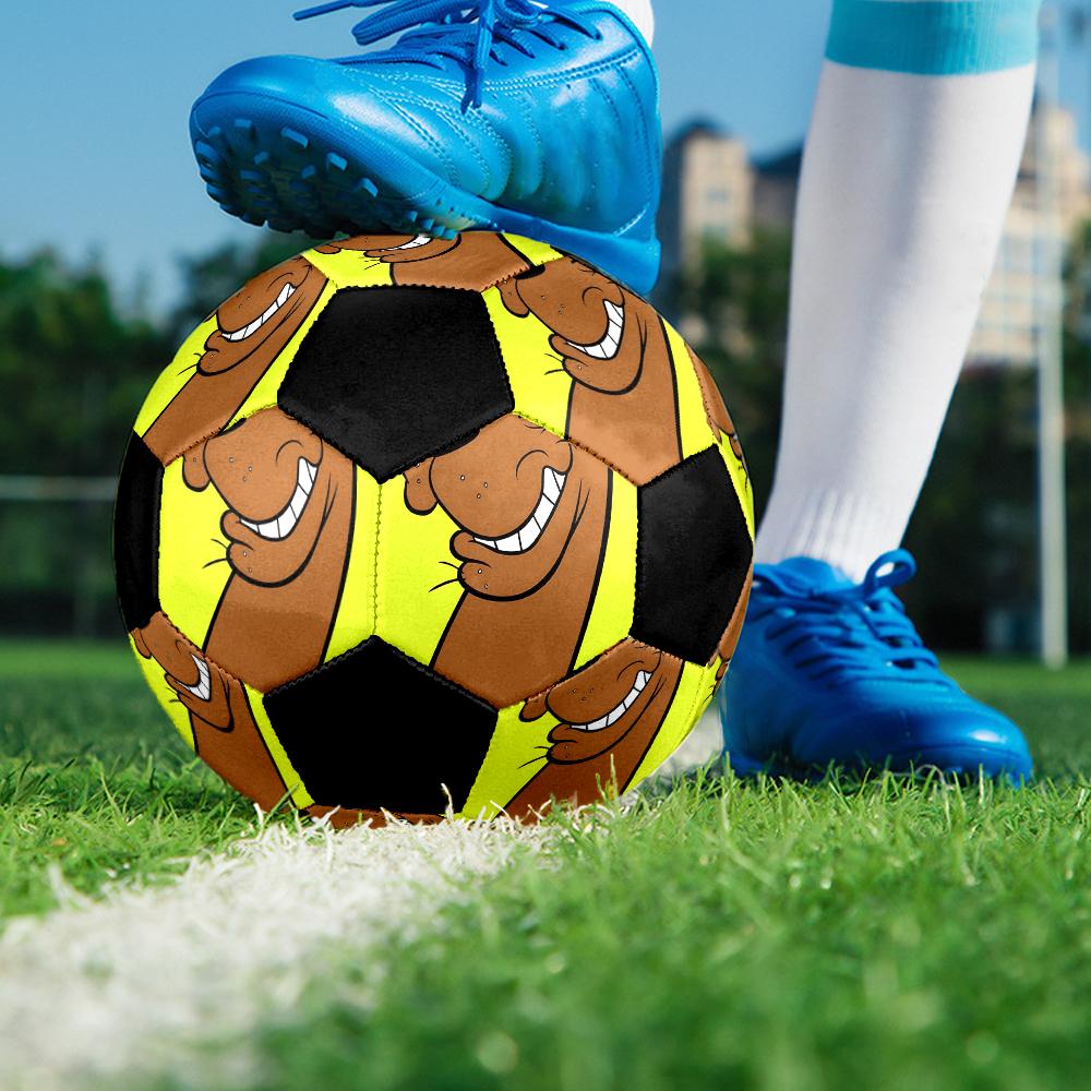 Scooby-Doo Theme Size 5 Soccer Ball, Suitable for Both Indoor and Outdoor Matches, a Gift Suitable for Everyone.