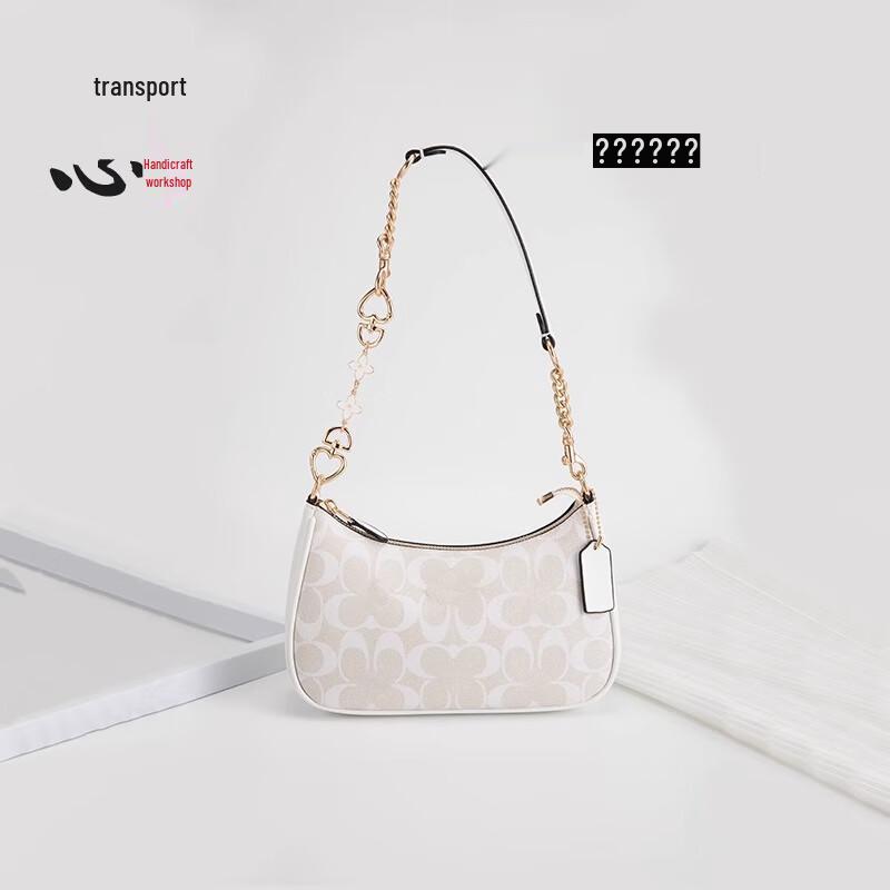 Coach Bag Extension Chain and Strap