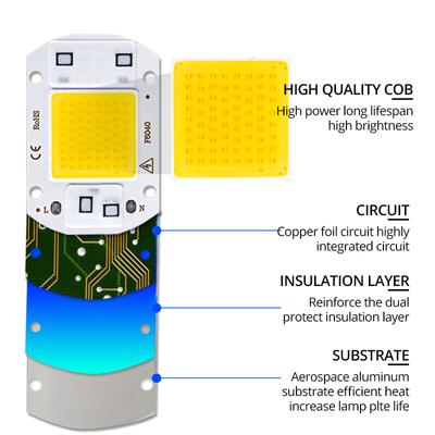 Smart IC COB LED Chip Lamp 50W 30W Matrix Diode LED COB Bead Flood Light 220V LED DIY Spot Light Beads No Need Driver