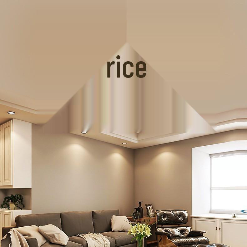 Cross-Border LED Creative Ceiling Light for Living Room & Bedroom - Modern, Simple, Acrylic Design