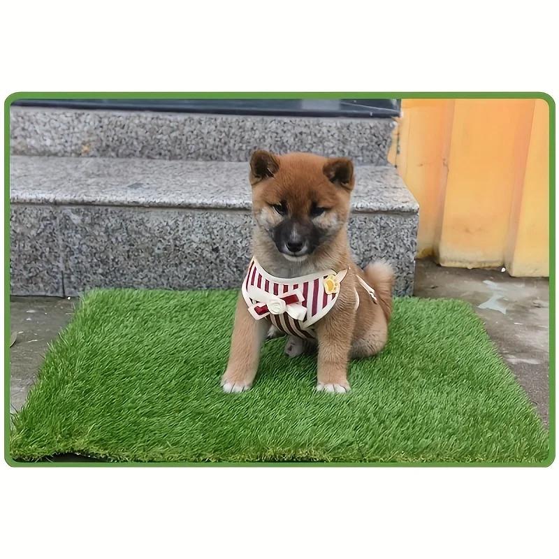 Tappetino da Addestramento per Cani in Erba Sintetica Lavabile Definitivo, Tappetino Assorbente Riutilizzabile per Urina con Controllo Odori e Supporto Antiscivolo, Cuscino per Addestramento Prato per Animali Domestici Facile da Pulire