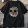 Sad Hamster T Shirt Funny Cute Cat Hamster Meme Trend Tshirt for Unisex WOMEN Cotton Tshirt Summer Short Sleeve Unisex Tee tops