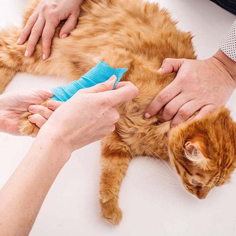 Claw Pattern Printed Self Adhesive Elastic Bandage 4.5m Non-Woven Finger Knee Sports Wrap Tape Dogs Cat Leg Paw First Aid Kit
