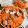 Plush Crab Keychain With Soft Short Pile Material For Kids And Adults