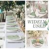 Newwiee 100 Pack Sage Cloth Napkins 17 X 17 Inch Sage Satin Napkins Sage Napkins Cloth Green Table Napkins for Dinner Home Wedding Birthday Party,