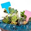 20/100Pcs Garden Plant Labels T-Type Flower Tags Plastic Nursery Seedling Tray Signs Waterproof Bonsai Varieties Tagging Markers