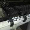 Anti-Falling Net Mesh Guard 15cm×6m Gutter Guard Mesh Strainer Filter  From Leaves, Twigs, Branches