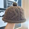 New Autumn and Winter Korean Style Knitted Hat for Women Cute and Fashionable Pullover Hat  Warm Curled Landlord Hat  Woolen Hat