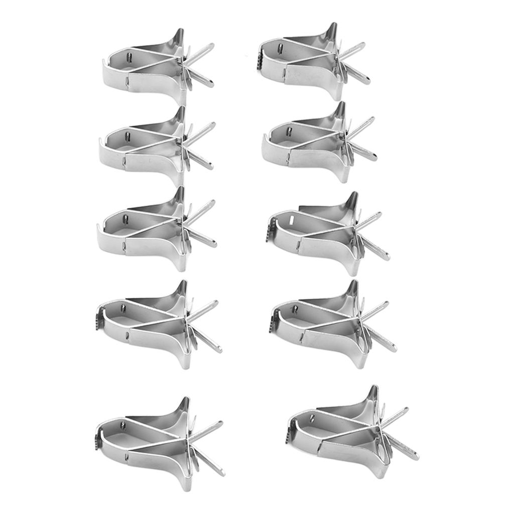 10 Stück Papagei Obst Gemüse Clips Edelstahl Papagei Obst Gemüse Futterclips für Papagei